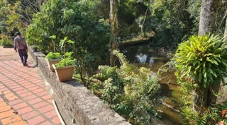 Imóvel 1830400 [''] - ['Estrada Felisatti, 3, Cotia/SP'] ['Chácara Vista Alegre'] - ['Cotia']/['SP'] - 1
