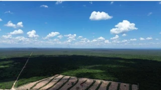 Imóvel 2615300 [''] - ['Fazenda Baraúna, Barra'] [''] - ['Barra']/['BA'] - 1