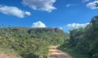 Imóvel 2834900 [''] - ['Fazenda c/ 383,0638 hectraes, terras de campos, cerrados e parte em brejo e serras, c/ 02 casas e um curral, lote 21, loteamento Rancharia, 1ª etapa, denominada Fazenda "São Raimundo"'] [''] - ['Campos Lindos']/['TO'] - 1