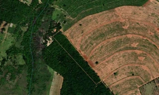 Imóvel 2860900 [''] - ['Gleba 10/parte 2, Sío São Sebasão, Zona Rural, 17167899'] [''] - ['Arealva']/['SP'] - 1