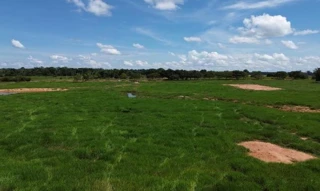 Imóvel 2468900 [''] - ['Parte Real desmembrada do Lote 69, denominado Lote 69/A, Gleba 43 do Projeto de Assentamento Dirigido Marechal Dutra, situado no município de Alto Paraíso-RO'] [''] - ['Alto Paraíso']/['RO'] - 1