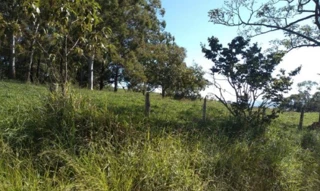 Imóvel 2356600 [''] - ['FAZENDA SANTA MARIA DE MINAS, S/N- DENOMINADO “TALISMÃ”'] [''] - ['Fortaleza De Minas']/['MG'] - 1
