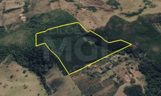 Imóvel 2747700 [''] - ['Sítio do Alto, São Pedro e São Luiz, - Bela Vista Jacutinga - MG'] [''] - ['Jacutinga']/['MG'] - 1