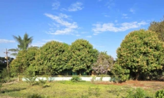 Imóvel 2484200 [''] - ['LOTE 02/A, 37° perímetro, Fazenda Britânia, Estrada Campo Sales, S/N, Distrito Margarida'] [''] - ['Marechal Cândido Rondon']/['PR'] - 1