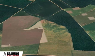 Imóvel 2444900 [''] - ['Gleba Celeste 4ª Parte, Bairro Nilza, Sinop, MT'] ['St. Res. Sul'] - ['Sinop']/['MT'] - 1