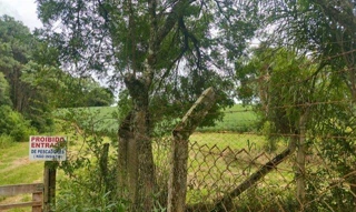 Imóvel 2776200 [''] - ['AREA B, sitio no lugar denominado FAZENDINHA'] [''] - ['Araucária']/['PR'] - 1