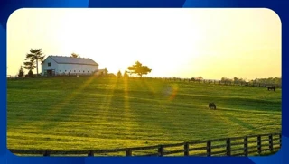 Imóvel 2526801 [''] - [', SN'] [''] - ['Porteirinha']/['MG'] - 1