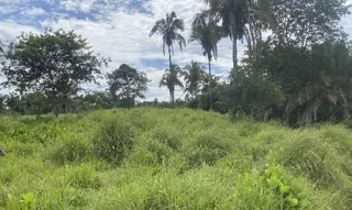 Imóvel 2742101 [''] - ['Fazenda Três A, Área rural - Angico/TO'] [''] - ['Angico']/['TO'] - 1