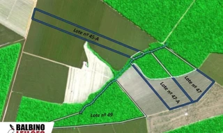 Imóvel 2444901 [''] - ['Gleba Celeste 4ª Parte, Bairro Nilza, Sinop, MT'] ['St. Res. Sul'] - ['Sinop']/['MT'] - 1