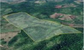 Imóvel 2764701 [''] - ['Gleba Auzilândia, Alto Alegre do Pindaré'] [''] - ['Alto Alegre Do Pindaré']/['MA'] - 1