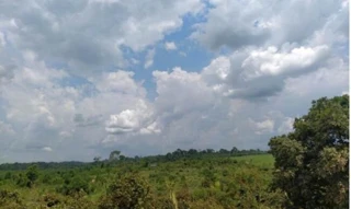 Imóvel 2466902 [''] - [''] [''] - ['Aripuanã']/['MT'] - 1