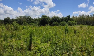 Imóvel 2759502 [''] - ['AVENIDA TRÊS PASSOS, Número 416, CENTRO, BOA VISTA DO BURICÁ/RS, CEP 98918-000'] ['Centro'] - ['Boa Vista Do Buricá']/['RS'] - 1