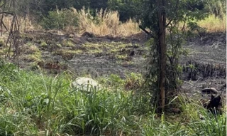 Imóvel 2681202 [''] - ['Rua Antônio Paulo da Silveira, n 1264'] [''] - ['Maringá']/['PR'] - 1