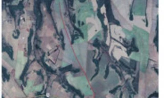 Imóvel 2889403 [''] - ['Fazenda Palmeiras, Rodovia BR-262, próximo ao KM 832, região do Chuá ou Capelinha do Barreira'] [''] - ['Uberaba']/['MG'] - 1