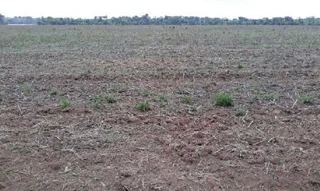 Imóvel 2399603 [''] - ['RUA RODOVIA PA 370, APROXIMADAMENTE À 6 KM DA COMUNIDADE BOA ESPERANÇA, nº S/N, ZONA RURAL, SANTAREM - PA, CEP 68.030-260'] [''] - ['Santarém']/['PA'] - 1