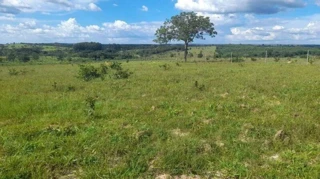 Imóvel 2466803 [''] - ['FAZENDA SALITRE'] [''] - ['Presidente Olegário']/['MG'] - 1