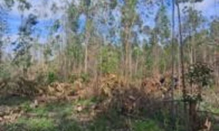 Imóvel 2536603 [''] - ['Estrada 36, Loteamento Rural Eldorado - 4ª Parte'] [''] - ['Eldorado Do Sul']/['RS'] - 1