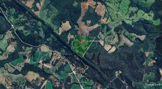 Imóvel 2469603 [''] - ['Serra do Imbauzinho'] [''] - ['Ortigueira']/['PR'] - 1