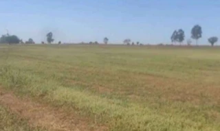 Imóvel 2716203 [''] - ['Estrada Municipal Água Branca de Cima (TTI - 461), S/N, Sítio São Roque 1 (gleba A), Água Branca, , Tatuí/SP'] [''] - ['Tatuí']/['SP'] - 1