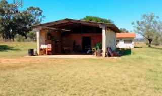 Imóvel 2687404 [''] - ['Fazenda São Domingos, Anaurilândia'] [''] - ['Anaurilândia']/['MS'] - 1