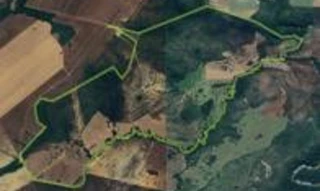 Imóvel 2835004 [''] - ['Fazenda Canoa, em Vila Propício'] [''] - ['Vila Propício']/['GO'] - 1