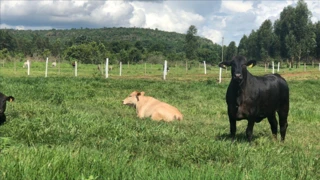 Imóvel 2487604 [''] - ['210 Estancia'] [''] - ['Estância']/['SE'] - 1