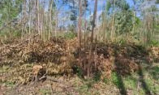 Imóvel 2536604 [''] - ['Estrada 36, Loteamento Rural Eldorado - 4ª Parte'] [''] - ['Eldorado Do Sul']/['RS'] - 1