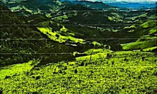 Imóvel 2540704 [''] - ['Fazenda da Ilha - Bairro da Ilha, Maria da Fé'] [''] - ['Maria Da Fé']/['MG'] - 1