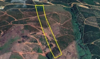 Imóvel 2511604 [''] - ['Córrego da Onça, - Orizânia - MG'] [''] - ['Orizânia']/['MG'] - 1