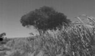 Imóvel 2759605 [''] - ['Jaboti, Marataízes/ES'] [''] - ['Itapemirim']/['ES'] - 1