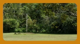 Imóvel 2647206 [''] - ['Lote nº 12 com aprox. 7.560 m2 no Loteamento denominado ZVR-I, situado na Fazenda Santa Rita do Bracuí'] ['Santa Rita do Bracuí'] - ['Angra Dos Reis']/['RJ'] - 1