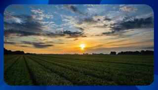 Imóvel 2540606 [''] - [', sn - O CEP relacionado pode não corresponder ao do imóvel penhorado'] [''] - ['Taió']/['SC'] - 1