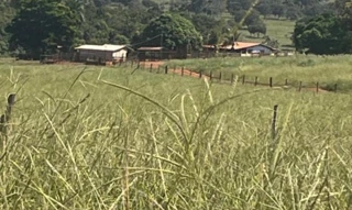 Imóvel 2806106 [''] - ['Imóvel rural situado no lugar denominado Pontal e Rocinha, região da antiga Fazenda Campo Alegre'] [''] - ['Ituiutaba']/['MG'] - 1