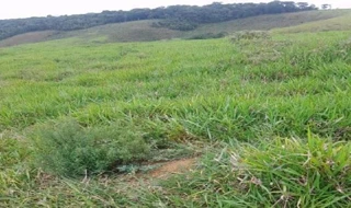 Imóvel 2758706 [''] - ['Fazenda Boa Esperança, Distrito de Torreões - Juiz de Fora/MG'] [''] - ['Juiz De Fora']/['MG'] - 1