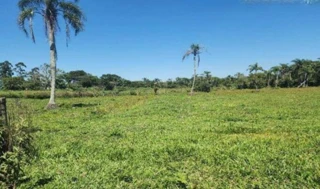 Imóvel 2742106 [''] - ['Três Coqueiros, Distrito de Vila Conceição - São João do Sul-SC/SC'] [''] - ['São João Do Sul']/['SC'] - 1