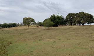 Imóvel 2722606 [''] - ['ESTÂNCIA SÃO NICOLAU - ZONA RURAL, -, ARARAS'] [''] - ['Manduri']/['SP'] - 1