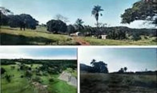 Imóvel 2396707 [''] - ['Estrada Senhor Darci Ribeiro'] [''] - ['Pedro Gomes']/['MS'] - 1