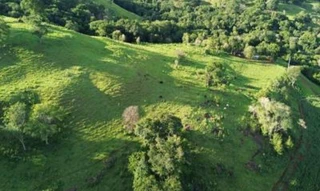 Imóvel 2745507 [''] - ['CRI de Pitanga/PrLote de terra 06, Gleba, no 05, Colônia Cantu, Município de MATO RICO/PR,'] [''] - ['Mato Rico']/['PR'] - 1