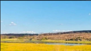 Imóvel 2736607 [''] - [''] [''] - ['Barro']/['CE'] - 1