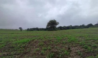 Imóvel 2615207 [''] - ['Estrada Municipal Via Alto da Serra Nº S/N'] [''] - ['São Pedro']/['SP'] - 1