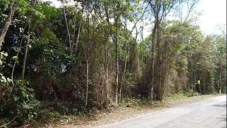 Imóvel 2340808 [''] - ['Avenida Hebe Maria de Camargo Ravagnani, Lt 05-C da Qd B, Fazenda Capelinha, Mogi das Cruzes, SP'] ['Jardim Armenia'] - ['Mogi Das Cruzes']/['SP'] - 1