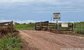Imóvel 2516608 [''] - ['Estrada de chão, após 7 km na estrada da Fazenda São Marcos'] [''] - ['Pequizeiro']/['TO'] - 1