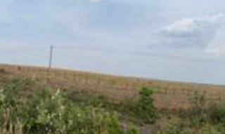 Imóvel 2527408 [''] - ['Rod BR 364, KM 1014'] [''] - ['Brasnorte']/['MT'] - 1