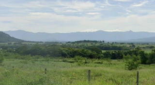 Imóvel 2438608 [''] - ['- Fazenda Primavera'] [''] - ['Porteirinha']/['MG'] - 1