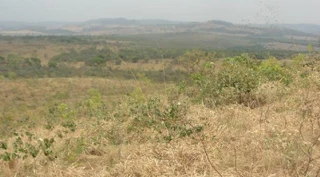 Imóvel 2170108 [''] - ['Fazenda Queiroz, Zona Rural, Claraval/MG'] [''] - ['Claraval']/['MG'] - 1