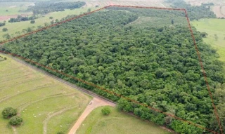 Imóvel 2862308 [''] - ['Lote de terras nº 44-B, da subdivisão do lote nº 44, da Gleba nº 2, do imóvel Ivaí, com área de 48,40 ha, situado no Município de Maria Helena'] [''] - ['Maria Helena']/['PR'] - 1