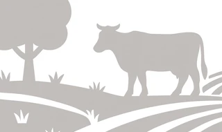 Imóvel 2590008 [''] - ['Piedade, Poço Fundo'] [''] - ['Poço Fundo']/['MG'] - 1