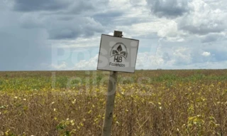 Imóvel 2748008 [''] - ['Ipameri - GO, Ipameri - GO'] ['Vila Santa Maria'] - ['Ipameri']/['GO'] - 1