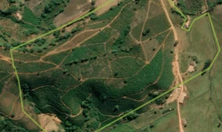 Imóvel 2533808 [''] - ['Córrego Boa Vista, zona rural de São Simão do Rio Preto'] [''] - ['Simonésia']/['MG'] - 1