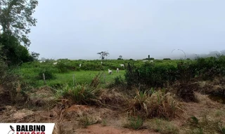 Imóvel 2615709 [''] - [', Zona Rural, Nova Monte verde, MT'] [''] - ['Nova Monte Verde']/['MT'] - 1